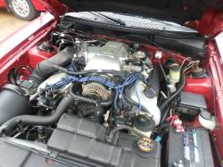 1998 Ford Mustang 4.6 DOHC T45 Manual Transmission - Image 7