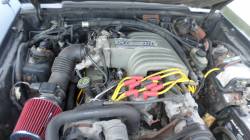 1991 Ford Mustang Convertible 5.0 T5 Manual Transmission - Image 7