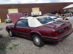 1986 Ford Mustang LX Convertible - Image 3