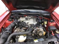 2002 Ford Mustang V6 - Image 6