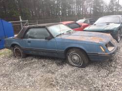 1983 Ford Mustang Convertible 