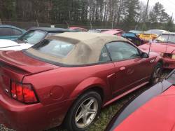 2000 Ford Mustang GT Convertible - Image 2