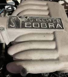 1994-1995 Cobra Engine (5.0 V8) - Image 2