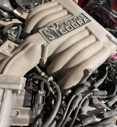 1994-1995 Cobra Engine (5.0 V8) - Image 3