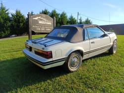 1983 mustang convertible 3.8L - Image 4
