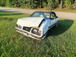 1983 mustang convertible 3.8L - Image 2